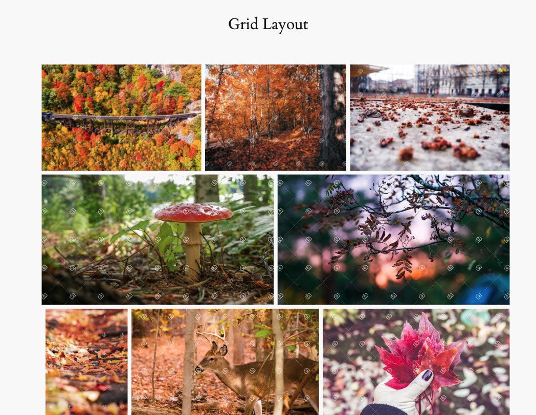 PhotoBerry Studio Gallery Grid Layout