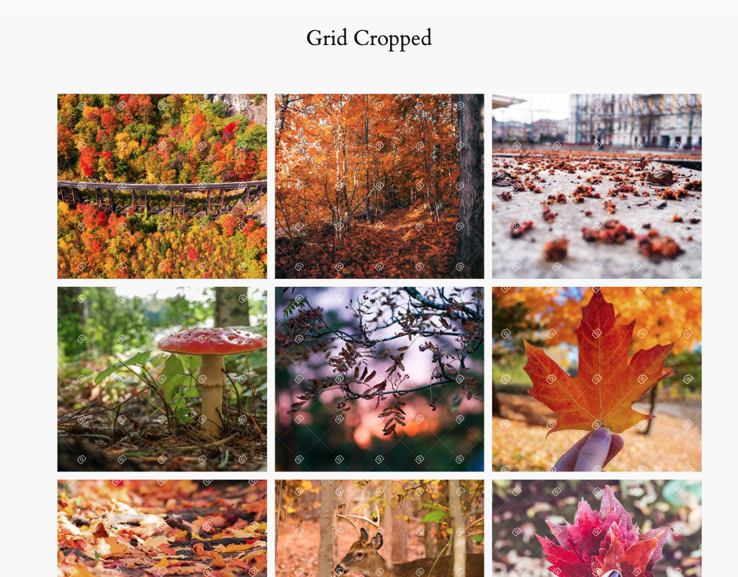 PhotoBerry Studio Gallery Grid Cropped Layout