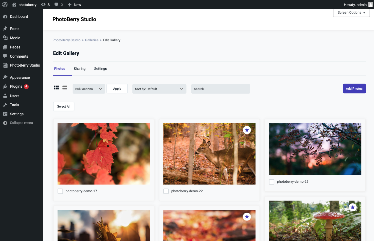 PhotoBerry Studio Gallery Grid Layout