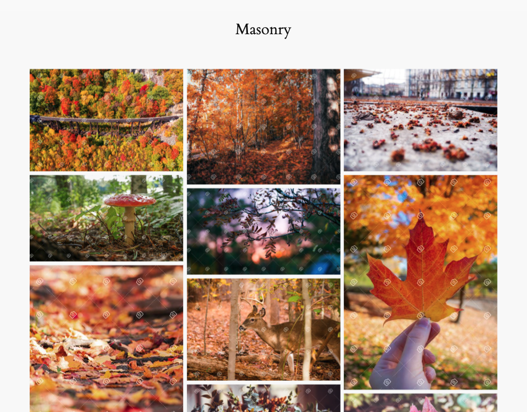 PhotoBerry Studio Gallery Grid Masonry